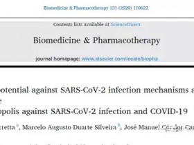 蜂胶的抗病毒作用及其辅助治疗COVID-19的潜力