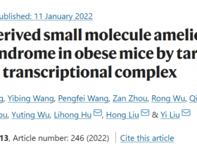 蜂胶可改善肥胖和糖尿病-学者在Nature子刊发文
