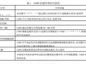 蜂胶的成分咖啡酸苯乙酯(CAPE)