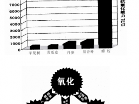 浅述蜂产品抗氧化在治疗糖尿病中的作用