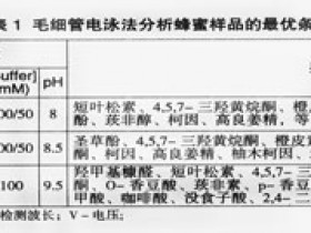 蜂蜜中酚类化合物的分析研究进展