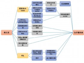 蜂王浆抗糖尿病的研究进展