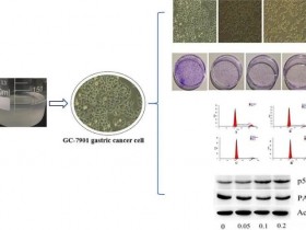 辅助抗癌食品——蜂王浆