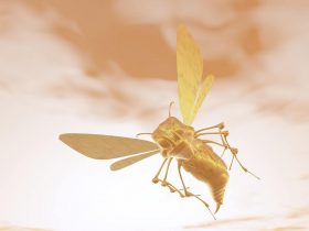 用蜂胶治疗疾病有哪些优势？