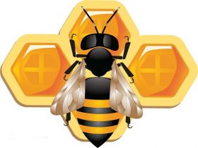 蜂胶不适宜人群有哪些？
