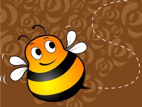 进口蜂胶是否真的优于国产蜂胶呢?