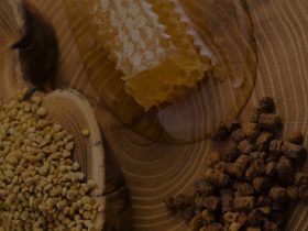 蜂胶中黄酮类化合物最新研究进展