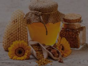 漫谈蜂产品：蜂蜜、蜂胶、蜂乳