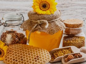 科学家们使用蜜蜂的蜂胶来治疗铝的毒性