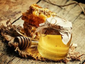 蜂胶的11大健康益处