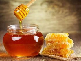 蜂胶 – 营养信息和事实