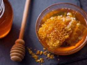 蜂胶、蜂花粉和蜂蜜：增强免疫健康的3大瑰宝