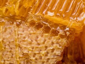 外敷内用，蜂胶是纯天然美容品！