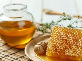 蜂产品治病养生良方